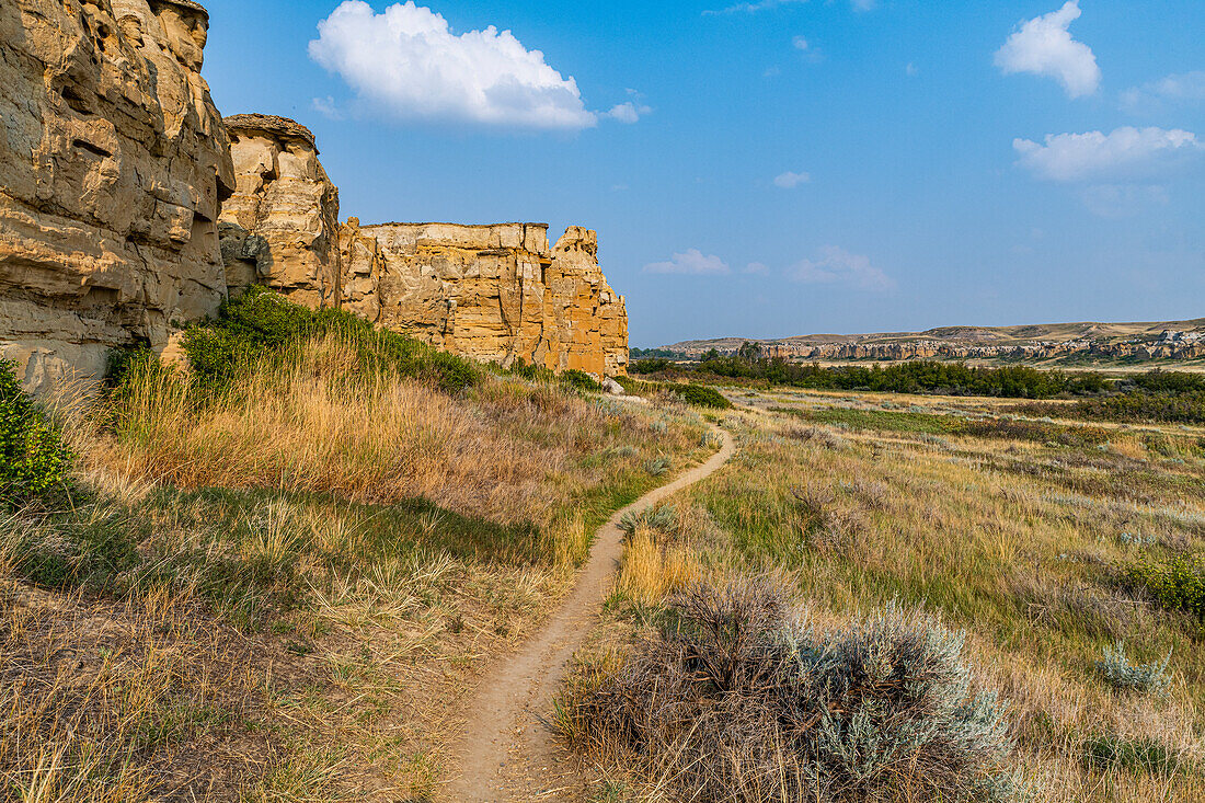 Hoodoos along the Milk River, Writing-on-Stone Provincial Park, UNESCO World Heritage Site, Alberta, Canada, North America