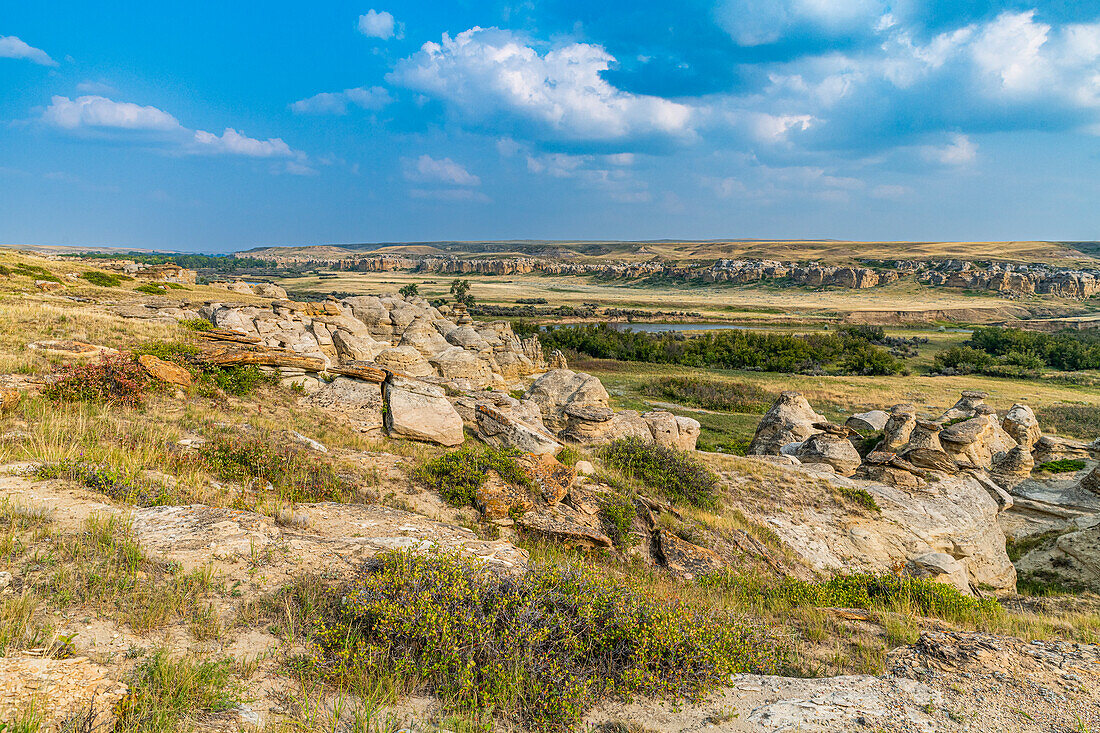 Hoodoos entlang des Milk River, Writing-on-Stone Provincial Park, UNESCO-Welterbe, Alberta, Kanada, Nordamerika