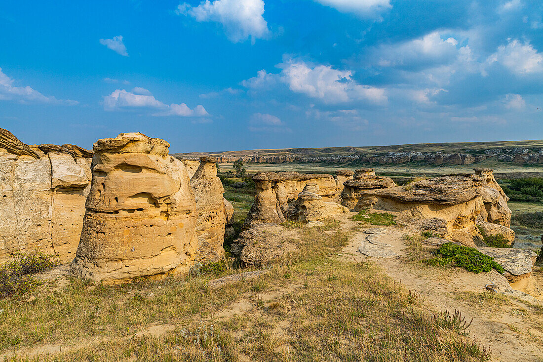 Hoodoos entlang des Milk River, Writing-on-Stone Provincial Park, UNESCO-Welterbe, Alberta, Kanada, Nordamerika