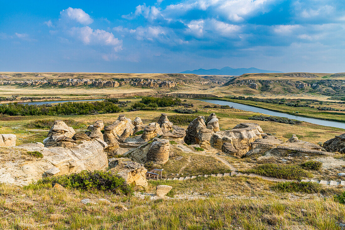 Hoodoos entlang des Milk River, Writing-on-Stone Provincial Park, UNESCO-Welterbe, Alberta, Kanada, Nordamerika