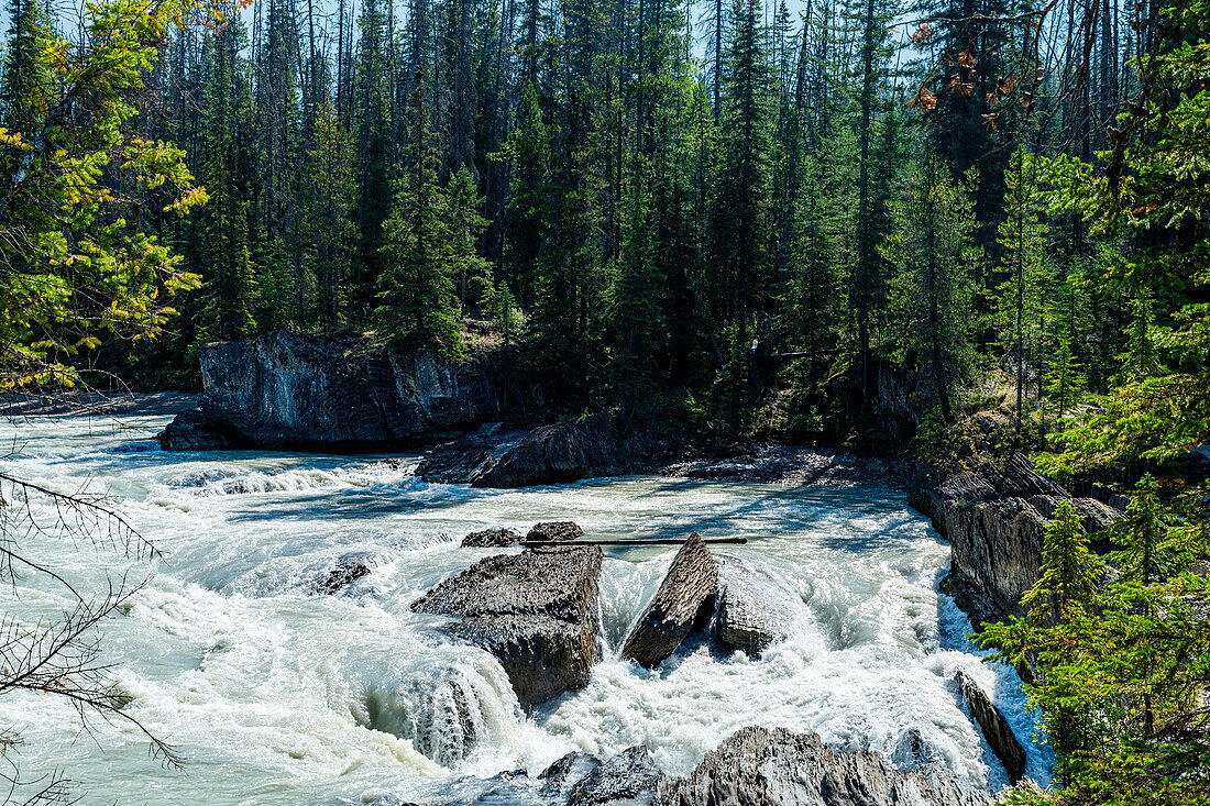 Natural Bridge Lower Falls, Yoho-Nationalpark, UNESCO-Weltnaturerbe, British Columbia, Kanada, Nordamerika