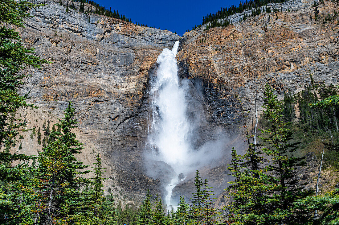 Takakkaw Falls, der zweithöchste Wasserfall Kanadas, Yoho-Nationalpark, UNESCO-Weltnaturerbe, British Columbia, Kanada, Nordamerika