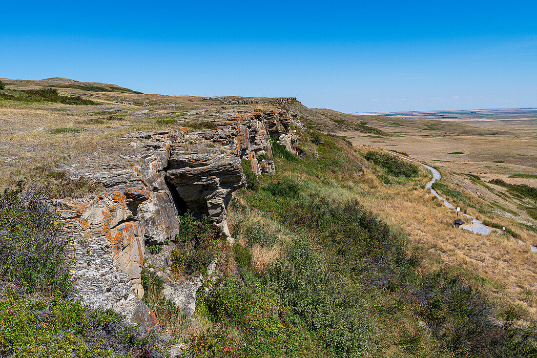 Klippe des zerschmetterten Kopfes in Buffalo Jump, UNESCO-Welterbestätte, Alberta, Kanada, Nordamerika