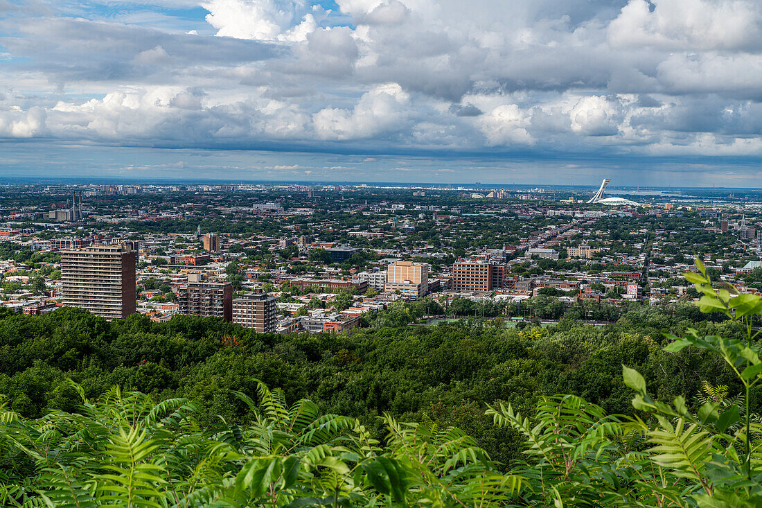 Blick über Montreal vom Mont Royal, Montreal, Québec, Kanada, Nordamerika