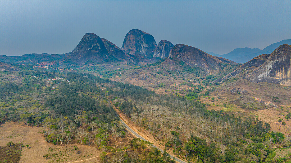 Conda, Kumbira Forest Reserve, Kwanza Sul, Angola, Africa