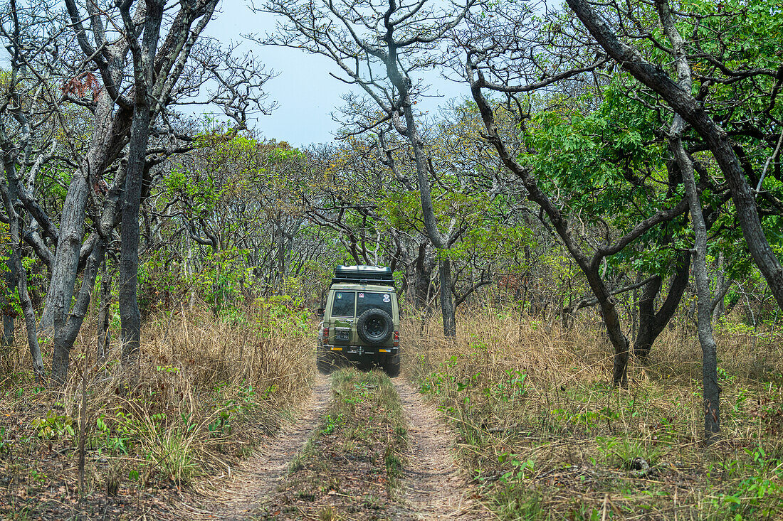 Jeepfahrt durch den Cangandala-Nationalpark, Malanje, Angola, Afrika