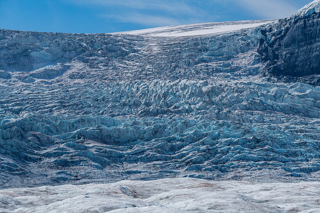 Columbia Icefield, Glacier Parkway, Alberta, Canada, North America