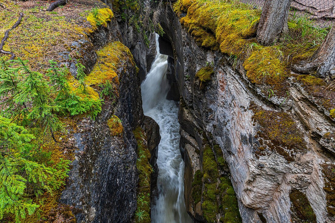 Maligne Canyon, Jasper National Park, UNESCO-Weltkulturerbe, Alberta, Kanadische Rockies, Kanada, Nordamerika