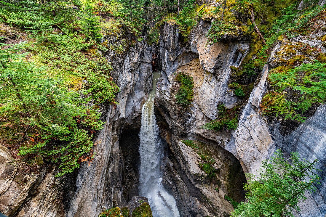 Maligne Canyon, Jasper National Park, UNESCO-Weltkulturerbe, Alberta, Kanadische Rockies, Kanada, Nordamerika