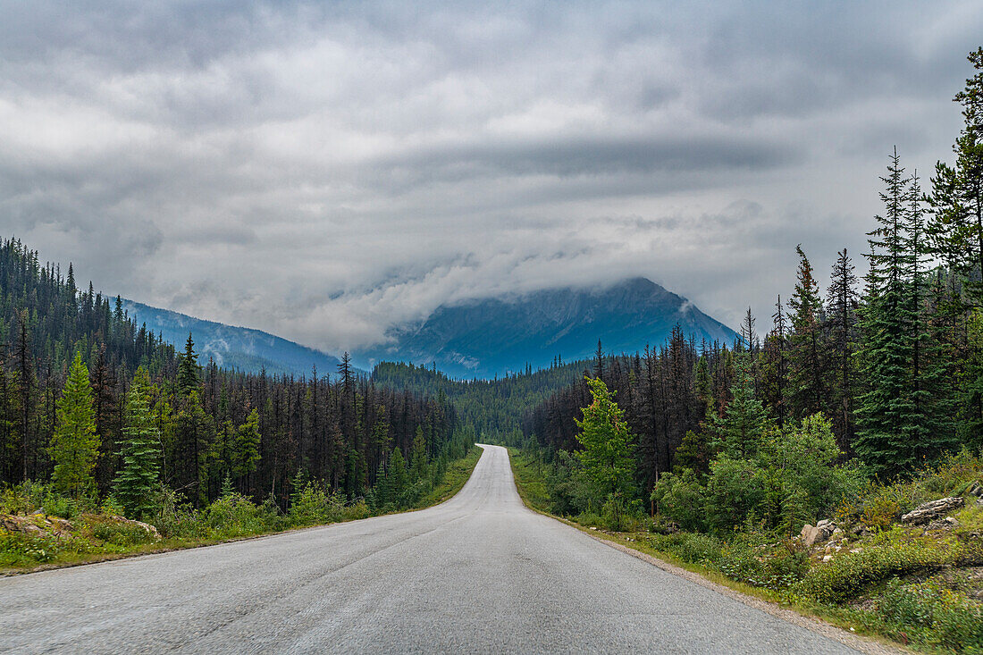 Road through Jasper National Park, UNESCO World Heritage Site, Alberta, Canadian Rockies, Canada, North America