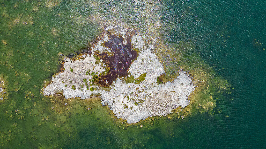 Ausläufer im Salzsoda-See, Mono Lake, Kalifornien, Vereinigte Staaten von Amerika, Nordamerika