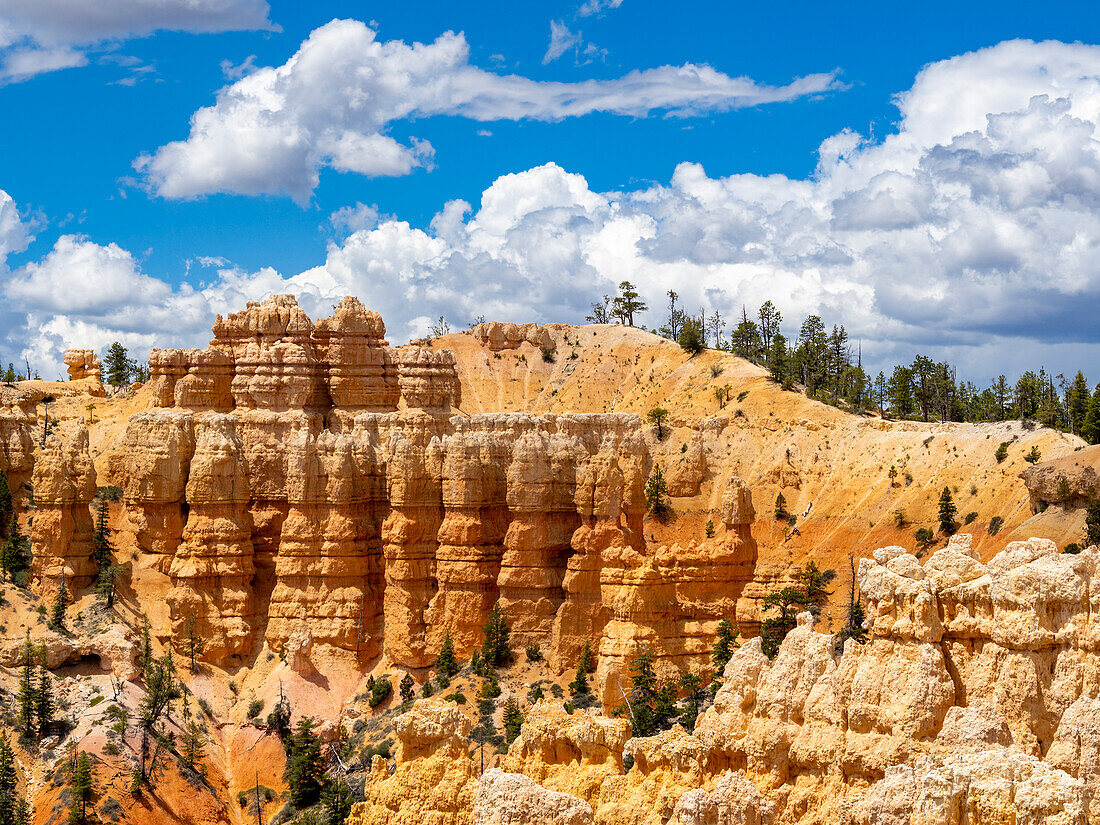 Red rock formations known as hoodoos in Bryce Canyon National Park, Utah, United States of America, North America