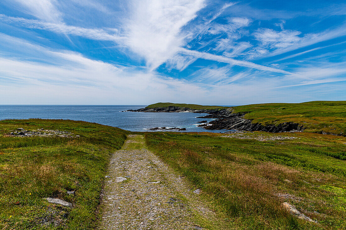 Weg zum Mistaken Point, UNESCO-Welterbe, Avalon Peninsula, Neufundland, Kanada, Nordamerika