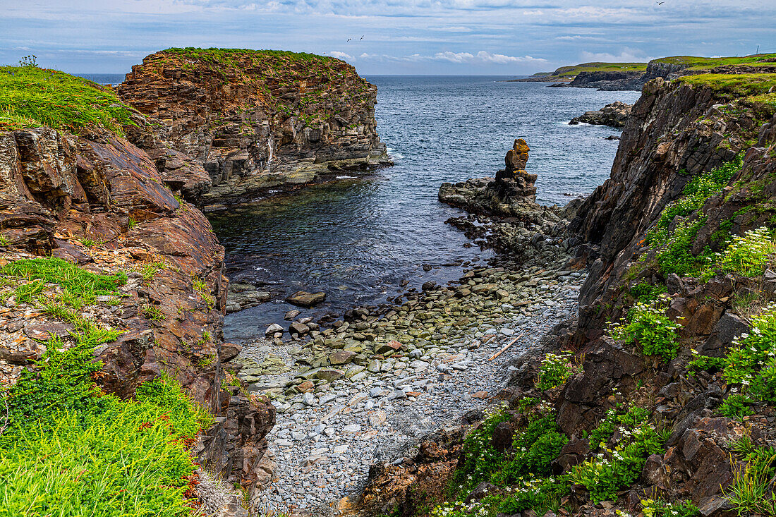 Papageientaucher-Beobachtungsstelle in Elliston, Bonavista-Halbinsel, Neufundland, Kanada, Nordamerika