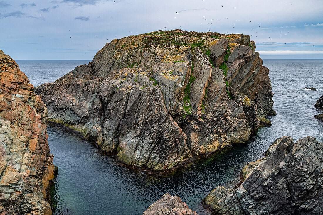 Tektonische Plattenfelsen, Bonavista-Halbinsel, Neufundland, Kanada, Nordamerika