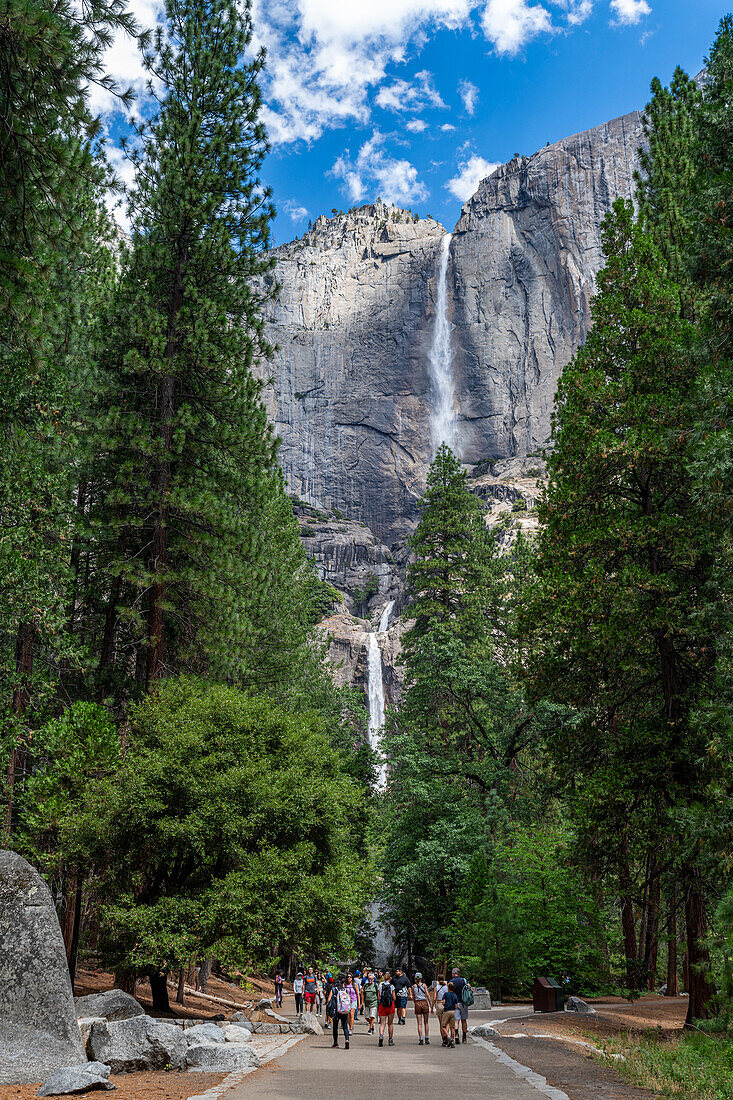 Yosemite Falls, highest waterfall, Yosemite National Park, UNESCO World Heritage Site, California, United States of America, North America