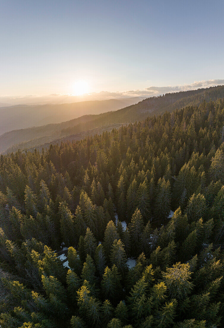 Luftaufnahme einer Waldlandschaft bei Nucsoara, Kreis Arges, Muntenia, Rumänien, Europa