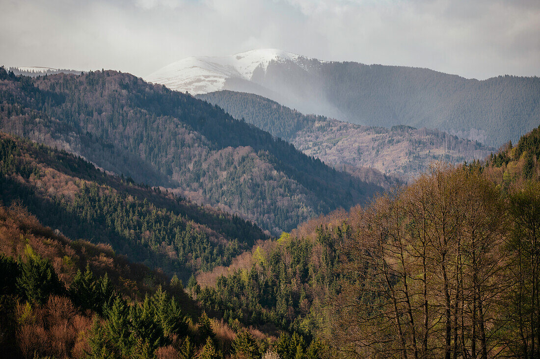 Landscape near Nucsoara, Arges County, Muntenia, Romania, Europe