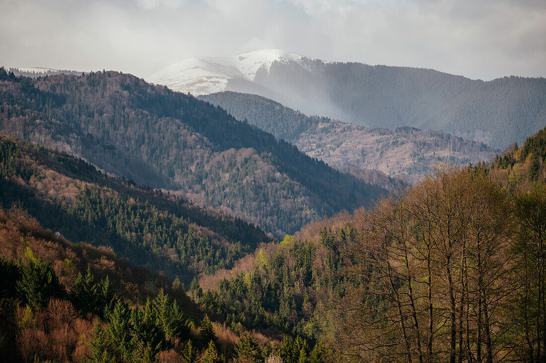 Landschaft bei Nucsoara, Kreis Arges, Muntenia, Rumänien, Europa