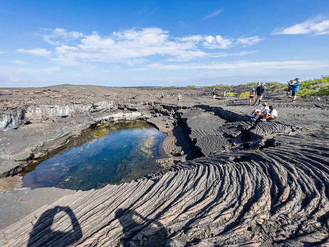 Pahoehoe lava on the youngest island in the Galapagos, Fernandina Island, Galapagos Islands, UNESCO World Heritage Site, Ecuador, South America