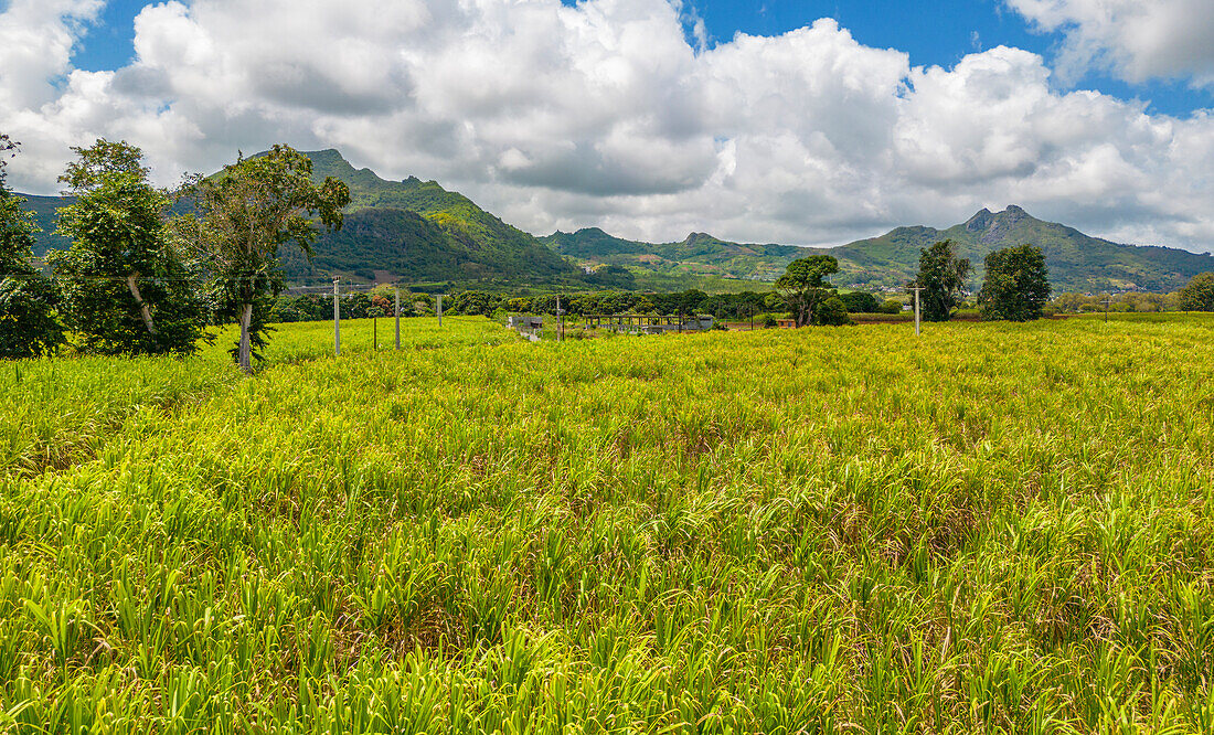 Aerial view of Long Mountain and fields at Long Mountain, Mauritius, Indian Ocean, Africa