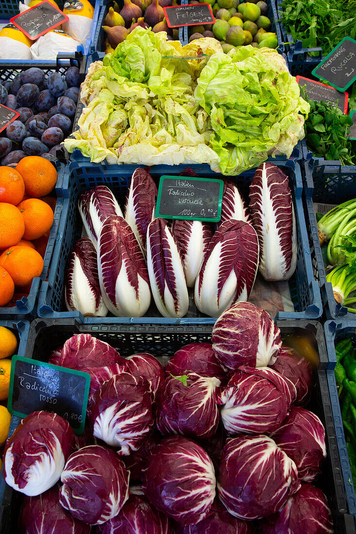 Vegetables including radicchio for sale, Viktualienmakt (Market), Old Town, Munich, Bavaria, Germany, Europe