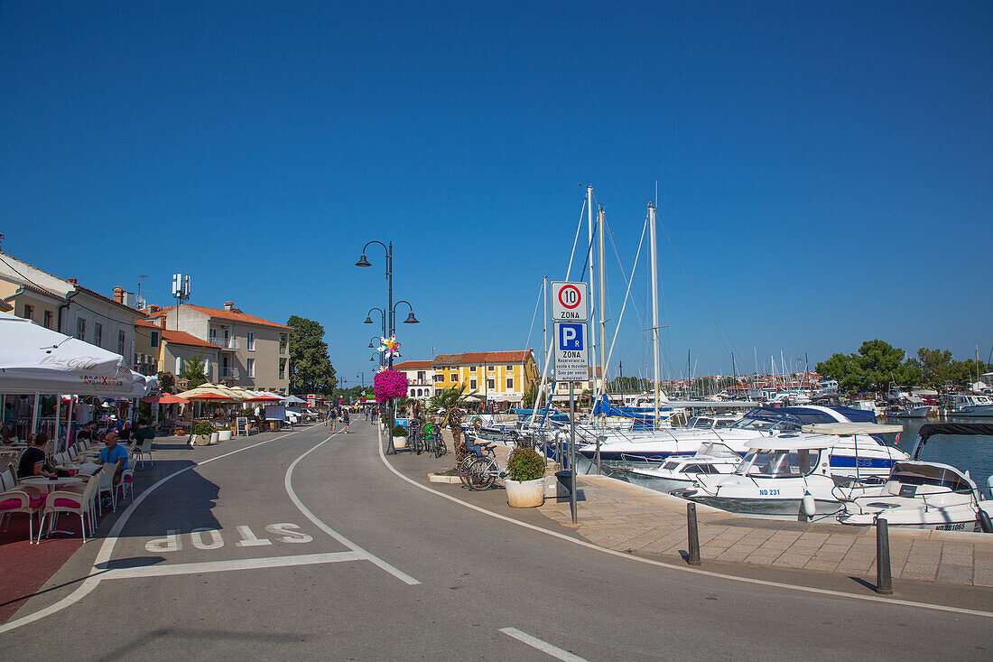 Street view of waterfront, Marina, Old Town, Novigrad, Croatia, Europe