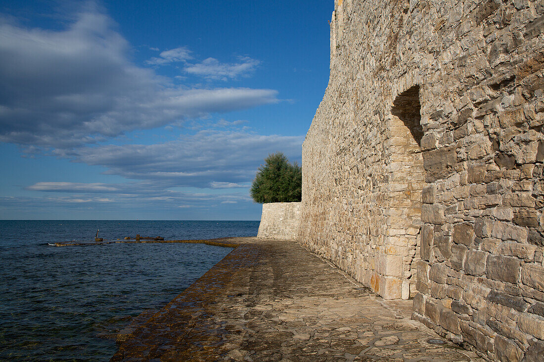 Seaside, City Outer Wall with Doorway, Old Town, Novigrad, Croatia, Europe