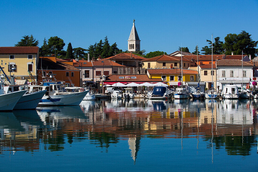 Boats, Marina, Novigrad Port, Tower of St. Pelagius Church in the background, Old Town, Novigrad, Croatia, Europe