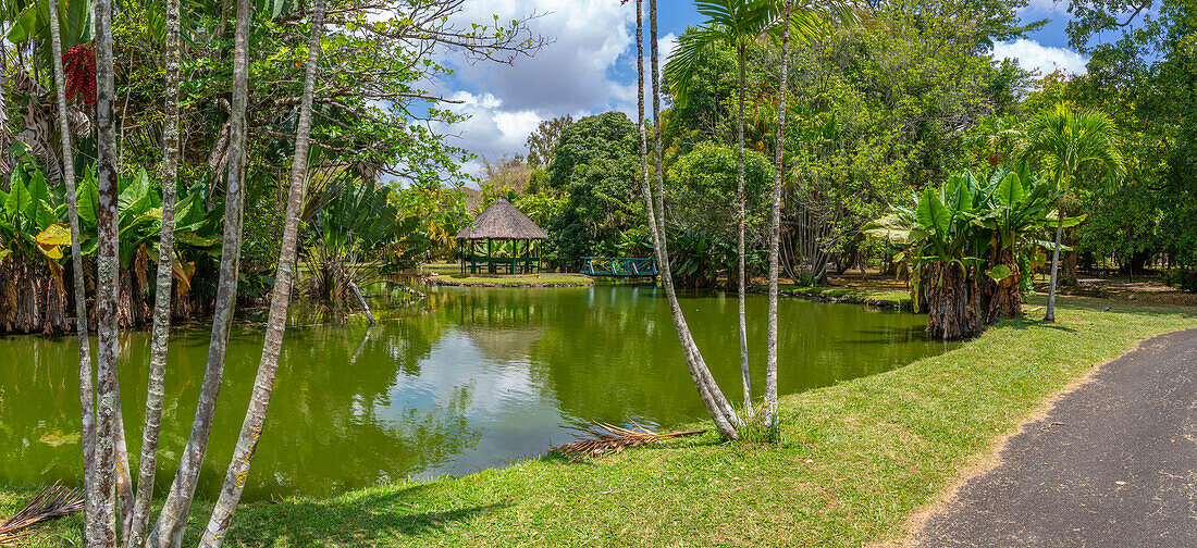 Blick auf Sir Seewoosagur Ramgoolam Botanischer Garten, Mauritius, Indischer Ozean, Afrika