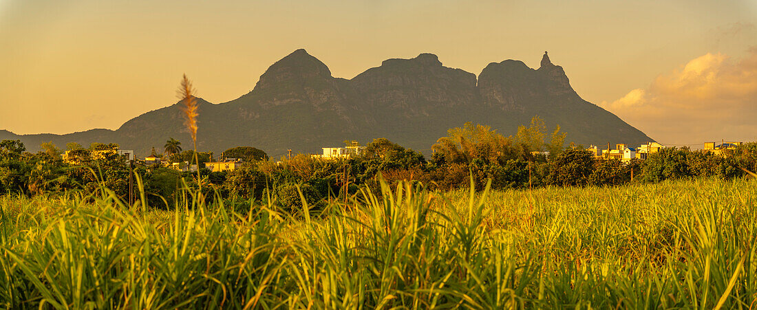 Blick auf Ackerland und Berge bei Quatre Bornes, Mauritius, Indischer Ozean, Afrika
