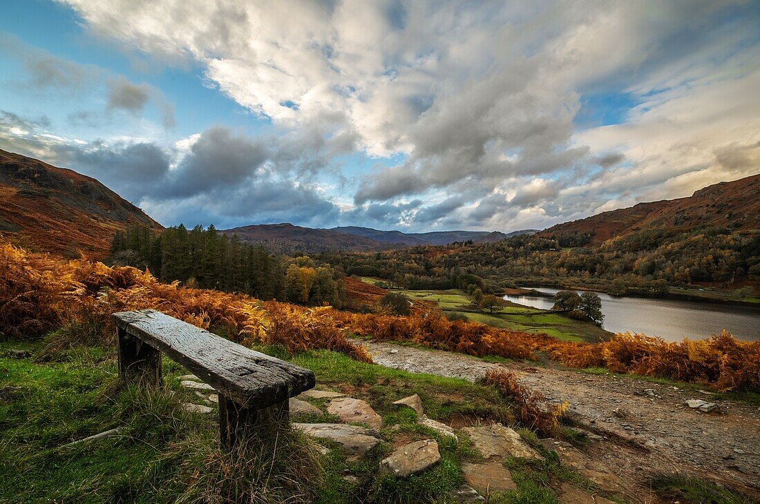 Herbstfarben vom Rydal Water im Lake District Nationalpark, UNESCO-Welterbe, Cumbria, England, Vereinigtes Königreich, Europa