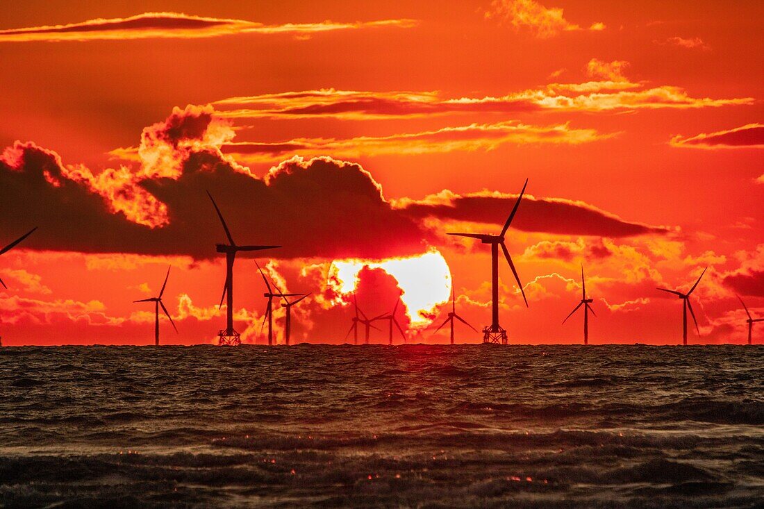 Blick bei Sonnenuntergang auf den weit entfernten Offshore-Windpark Walney von Walney Island an der Küste von Cumbria, Halbinsel Furness, Cumbria, England, Vereinigtes Königreich, Europa