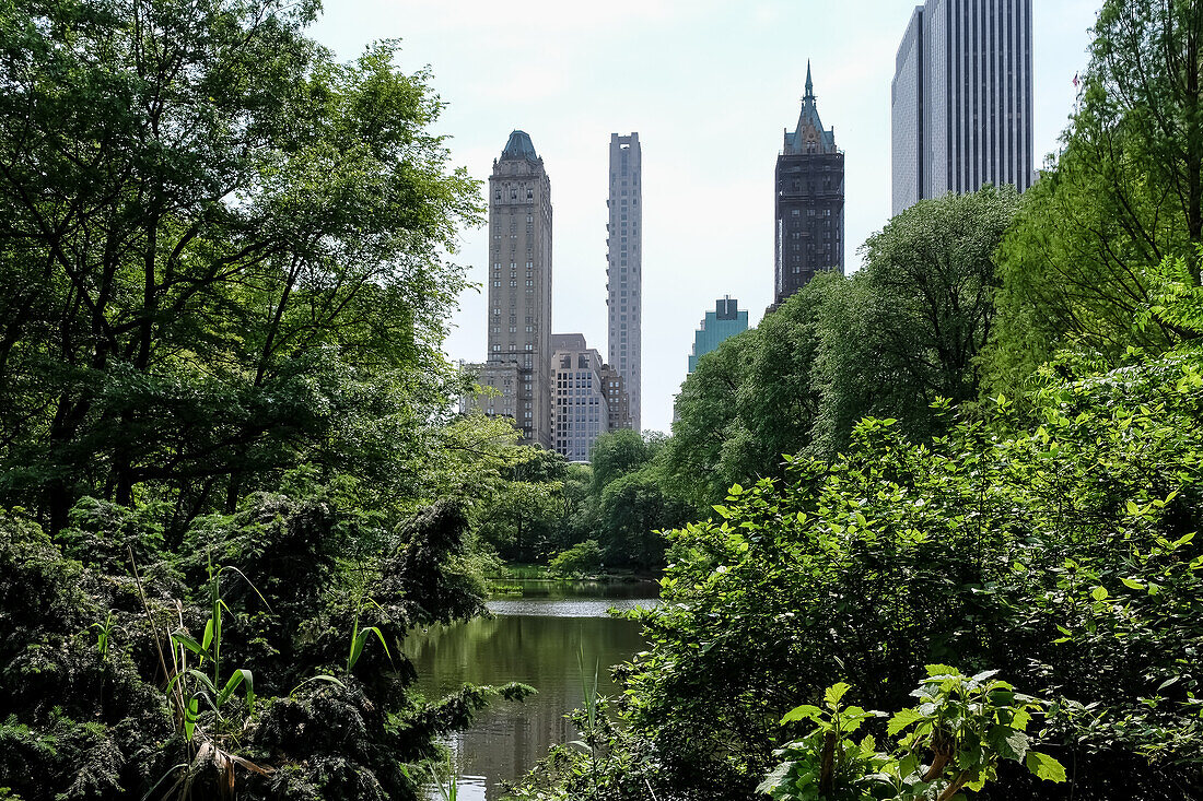 View of Manhattan cityscape as seen from The Pond, one of seven bodies of water in Central Park located near Grand Army Plaza, across Central Park South from the Plaza Hotel, New York City, United States of America, North America