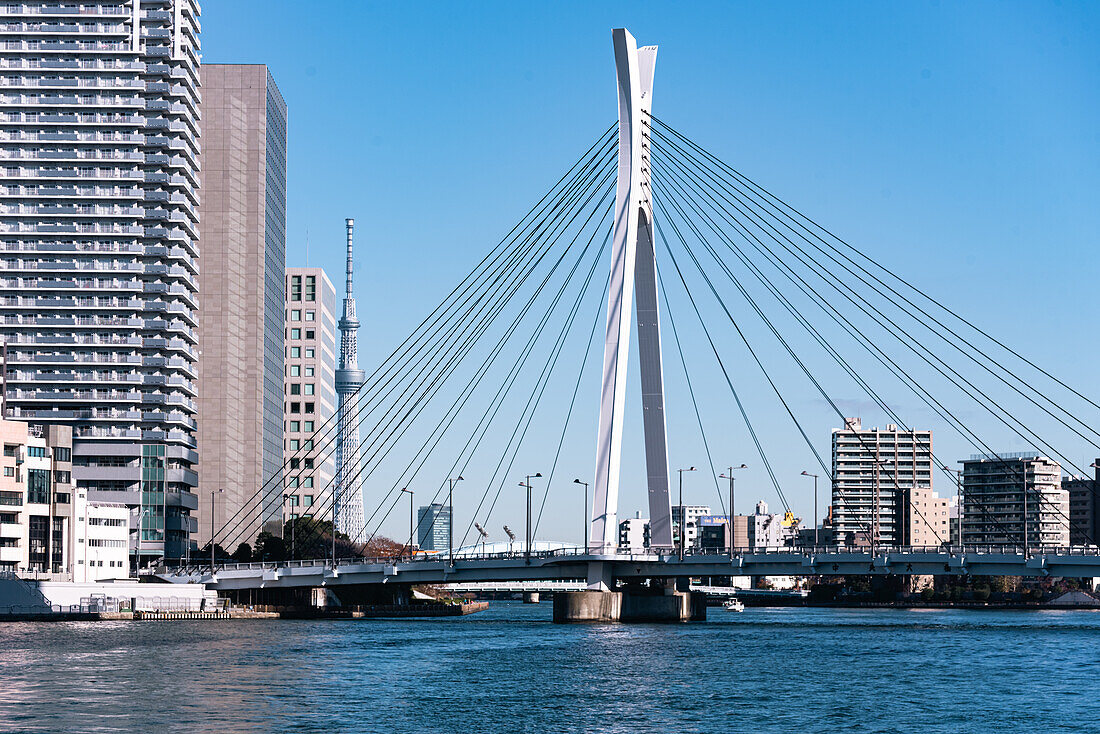 Chuo Ohashi Bridge on blue Sumida River with Skytree in the background, Tokyo river cruise, Tokyo, Honshu, Japan, Asia
