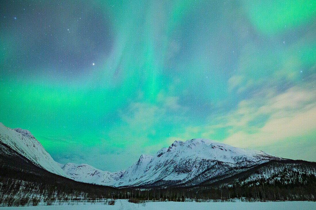 The Northern Lights (Aurora Borealis) light up the sky in the winter night, Tromso, Norway,Scandinavia, Europe