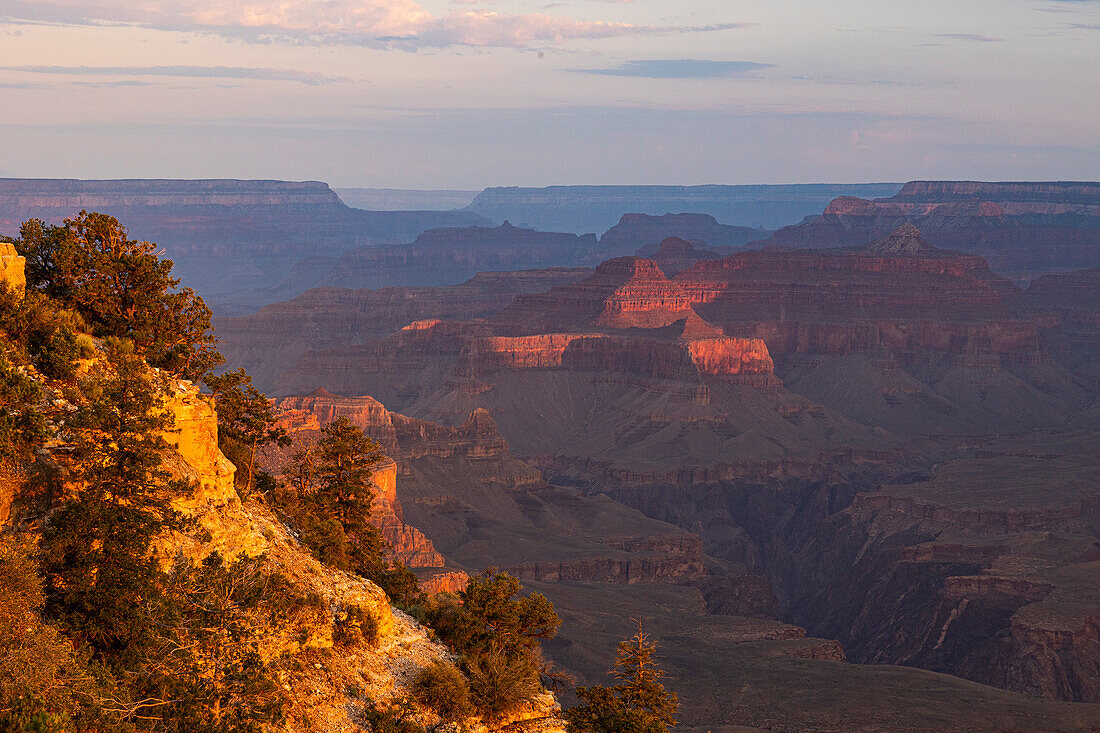 Golden light envelops the Grand Canyon during a summer sunrise, Tusayan, Arizona, United States of America, North America