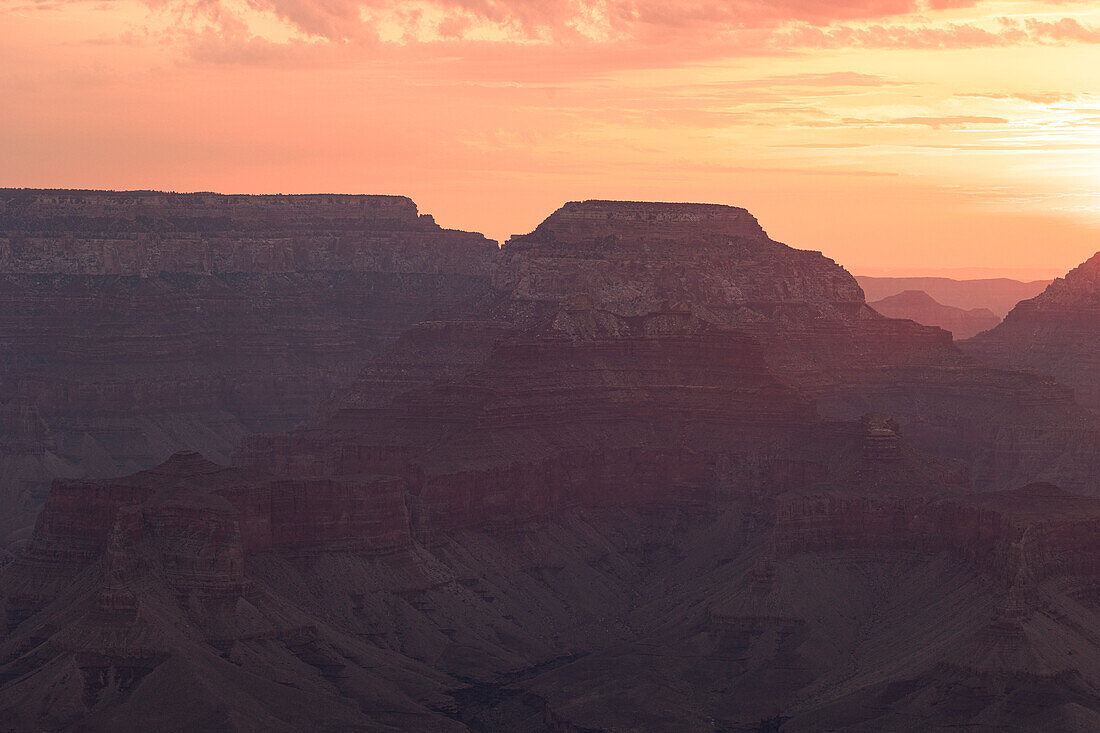 Golden light envelops the Grand Canyon during a summer sunrise, Tusayan, Arizona, United States of America, North America