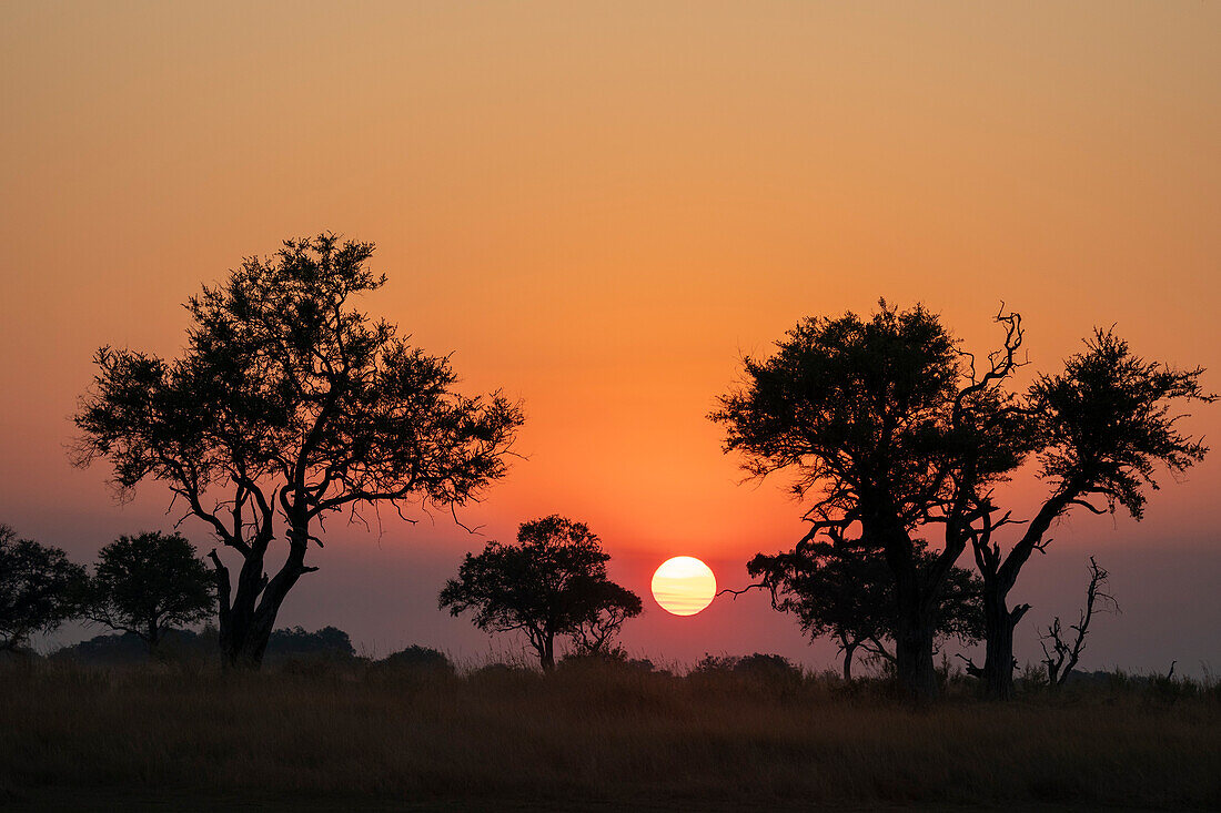 Sonnenuntergang über dem Okavango-Delta, Botsuana, Afrika