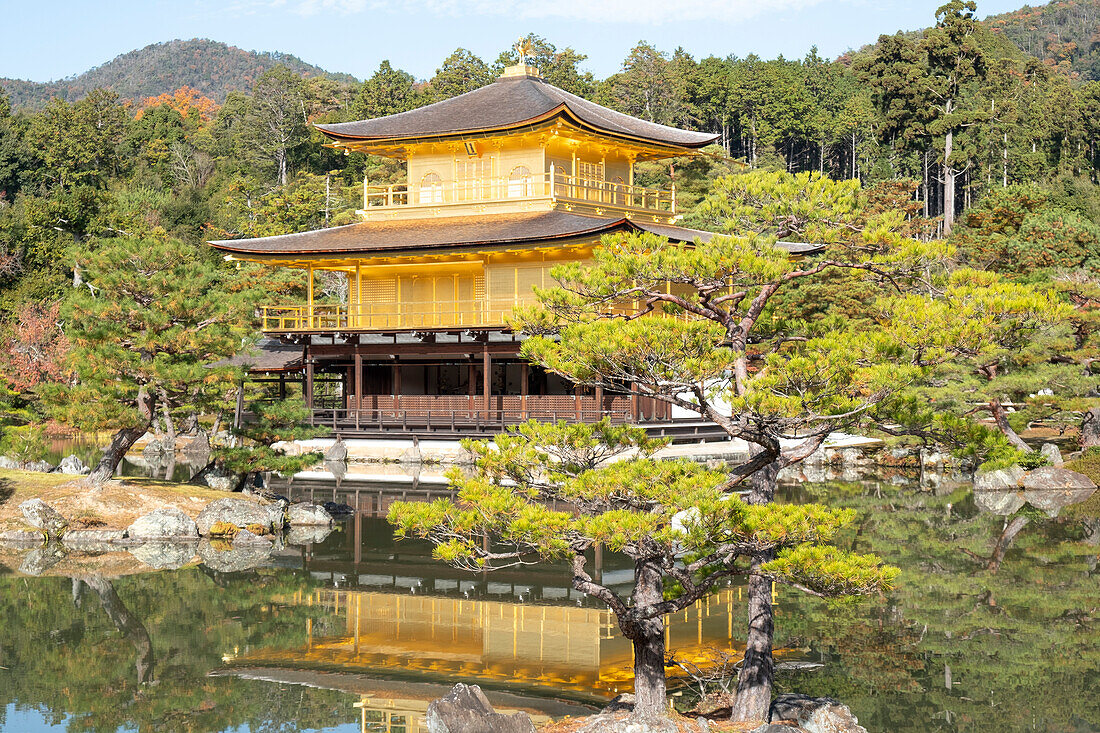 Kinkaku-ji-Tempel des Goldenen Pavillons, der sich in einem See spiegelt, UNESCO-Weltkulturerbe, Kyoto, Honshu, Japan, Asien