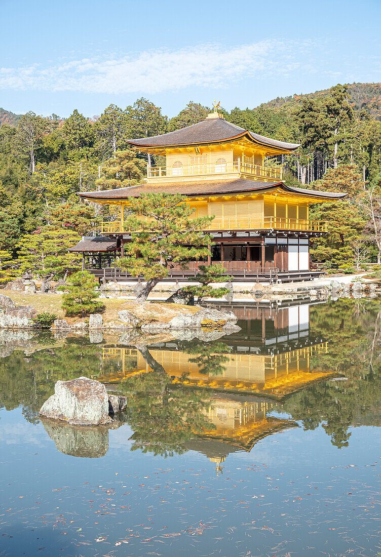 Kinkaku-ji-Tempel des Goldenen Pavillons, der sich in einem See spiegelt, UNESCO-Weltkulturerbe, Kyoto, Honshu, Japan, Asien