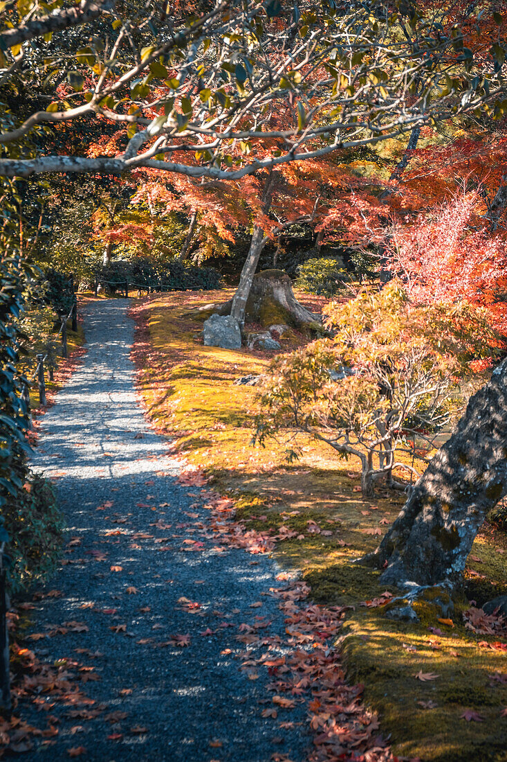 Kinkaku-ji Garten und See im Herbst, Kyoto, Honshu, Japan, Asien