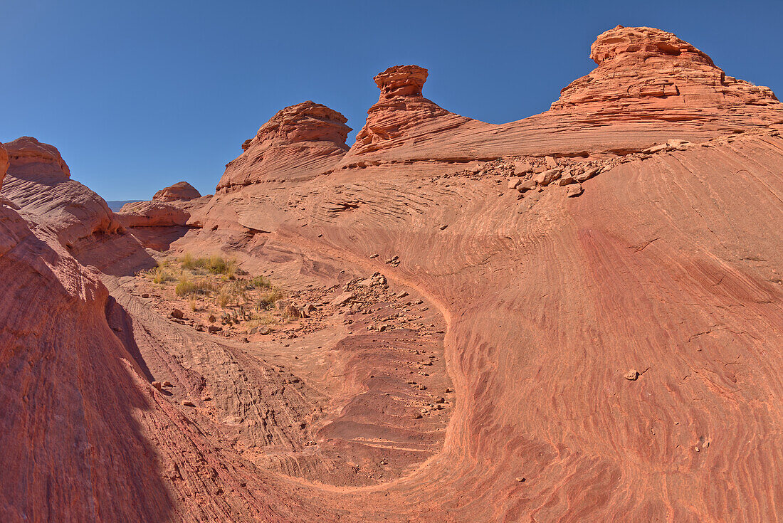 Die östlichen Felsen der New Wave entlang des Beehive Trails in der Glen Canyon Recreation Area in der Nähe von Page, Arizona, Vereinigte Staaten von Amerika, Nordamerika