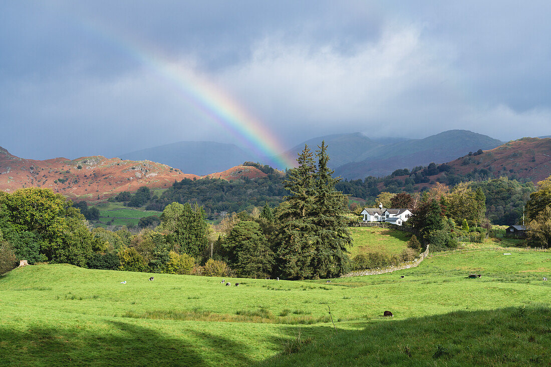 Regenbogen und Schauer über den Cumbrian Fells um Elter Water (Elterwater) im Südosten des Lake District, Lake District National Park, UNESCO-Weltkulturerbe, Cumbria, England, Vereinigtes Königreich, Europa