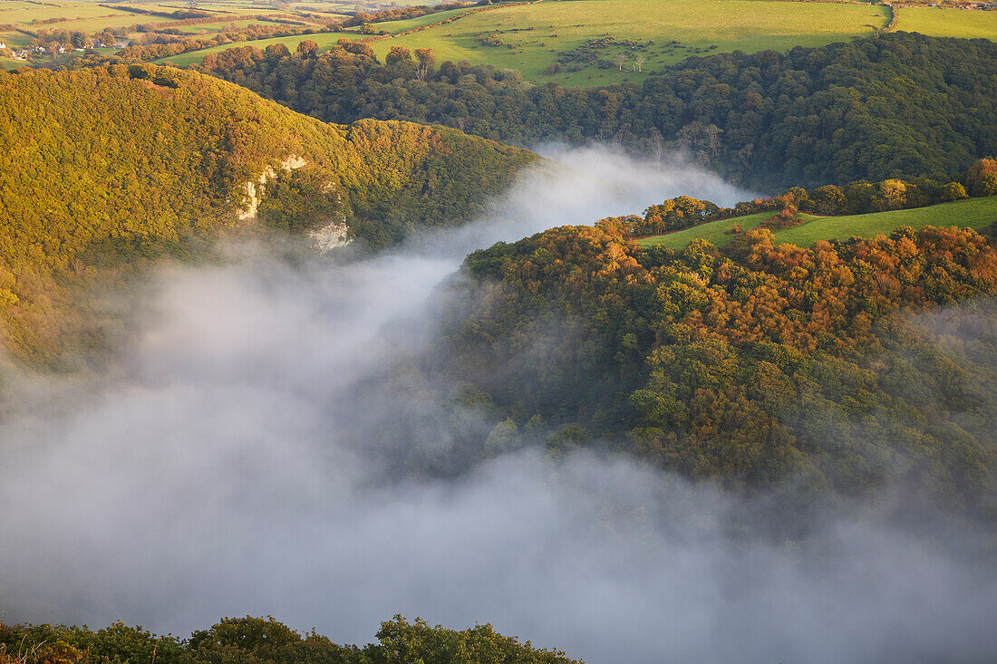 Evening mist in the valley of the East Lyn River, near Lynmouth, Exmoor National Park, Devon, England, United Kingdom, Europe