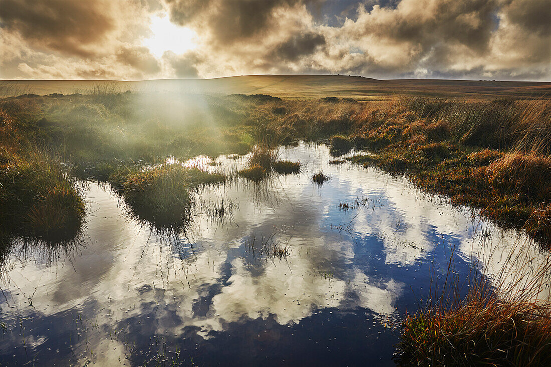 Autumn across the marshy open moors of Dartmoor, Gidleigh Common, near Chagford, Dartmoor National Park, Devon, England, United Kingdom, Europe