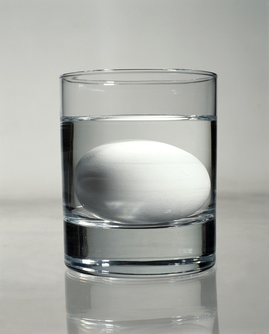 Frisches Ei liegt im Wasserglas (Frischetest)