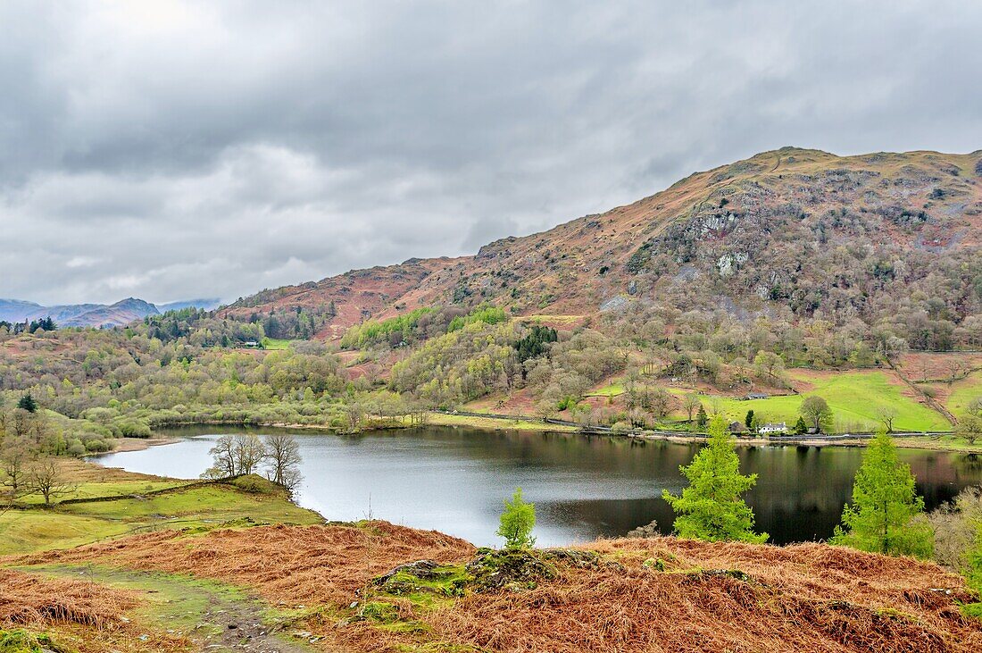Rydal Water, 2 km long and over 15 metres deep, Lake District National Park, UNESCO World Heritage Site, Cumbria, England, United Kingdom, Europe