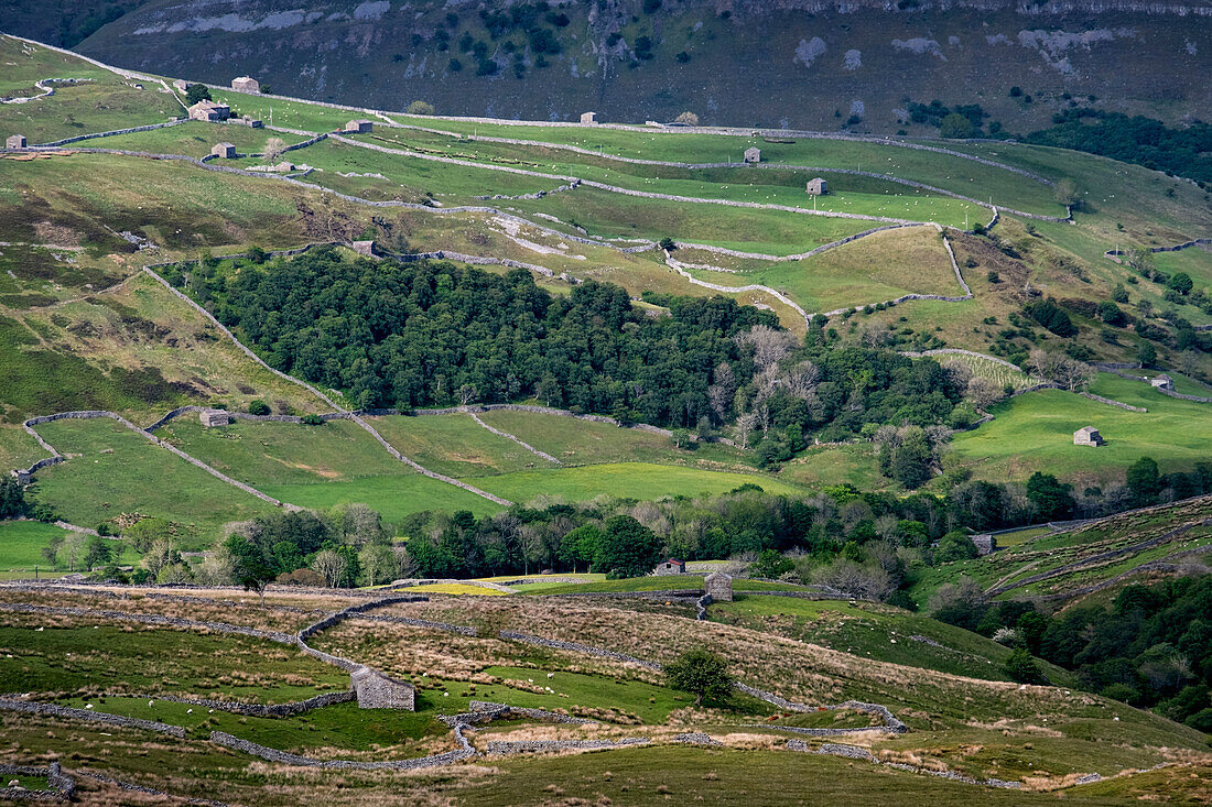 Swaledale viewed from the Buttertubs Pass, Yorkshire Dales National Park, Yorkshire, England, United Kingdom, Europe