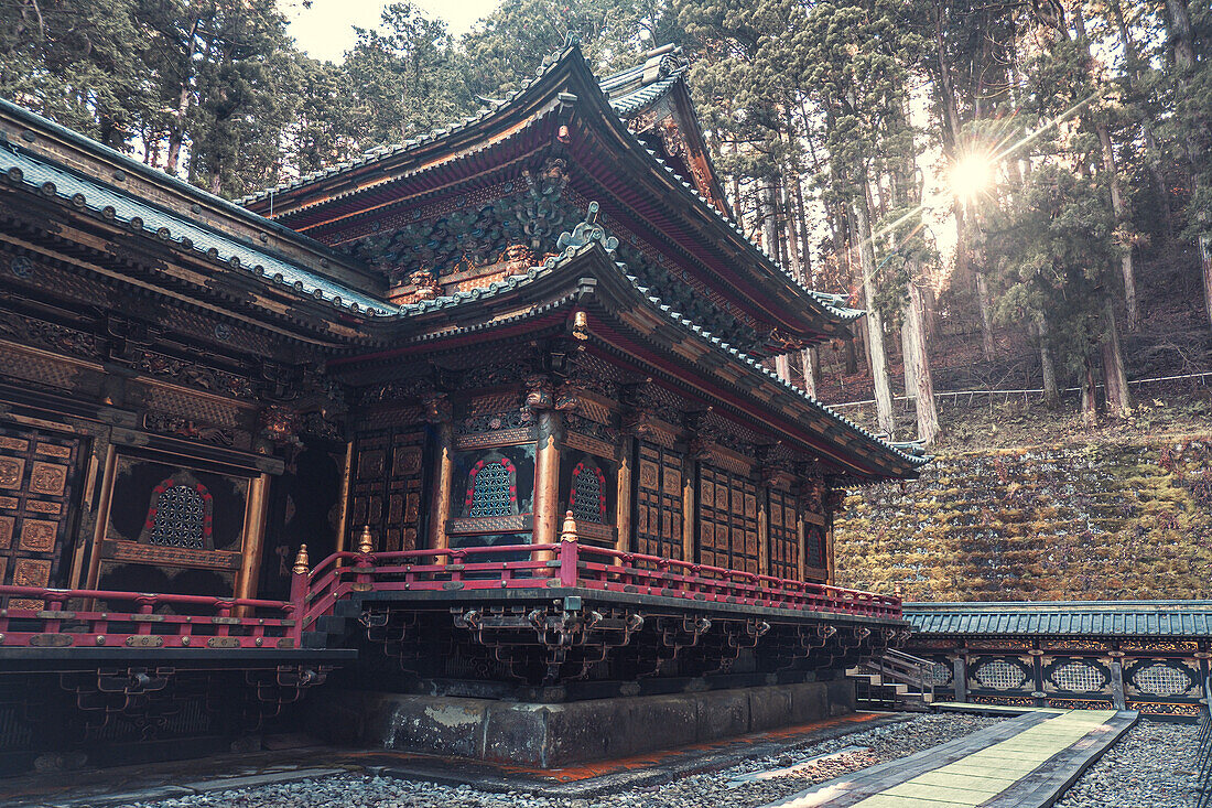A temple surrounded by trees at sunrise in Nikko, Tochigi, Honshu, Japan, Asia